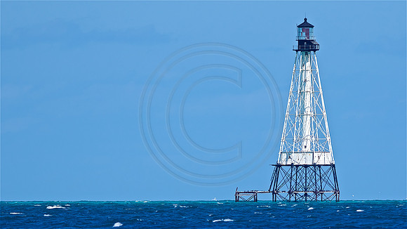 Alligator Reef