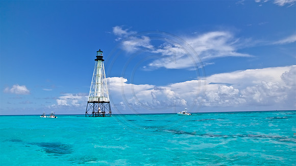 Alligator Reef