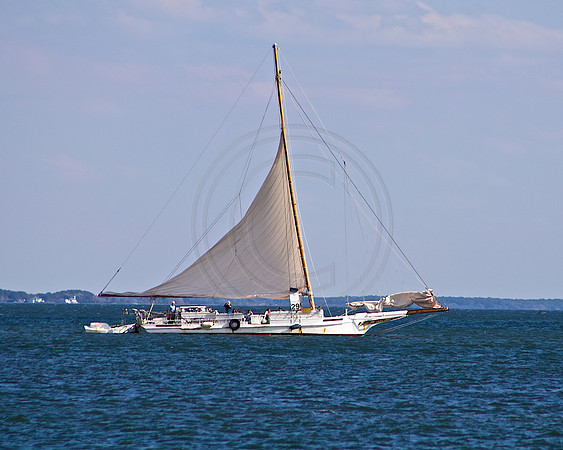Tilghman, Island Maryland