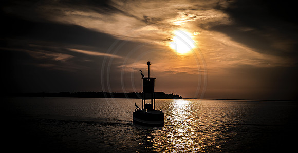 Chesapeake Bay