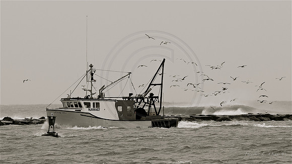 Barnegat Inlet, NJ