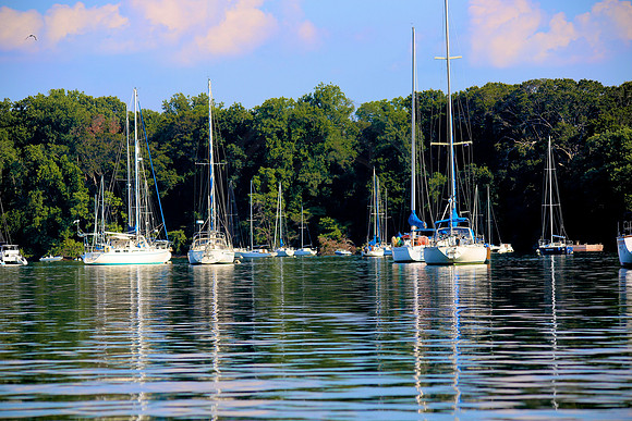 Sailboats of the Sassafras River