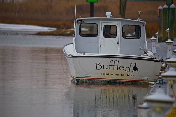 Tilghman Island, MD