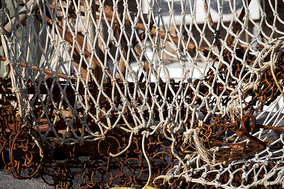 Tilghman Island, MD