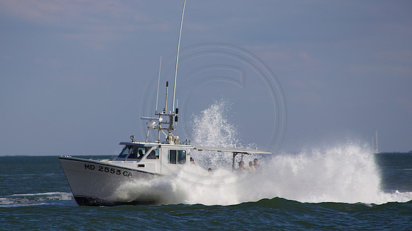 Tilghman, Island Maryland