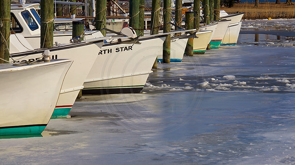 Tilghman Island, MD