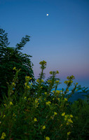 GSMNP