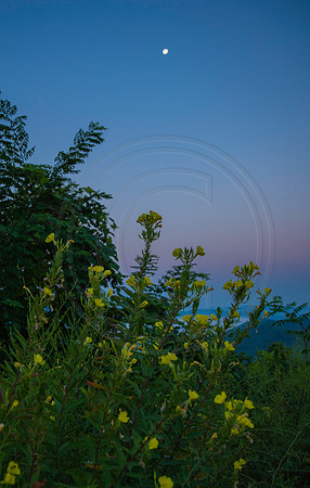 GSMNP