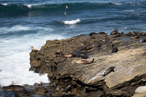 Seal Rock, La Jolla