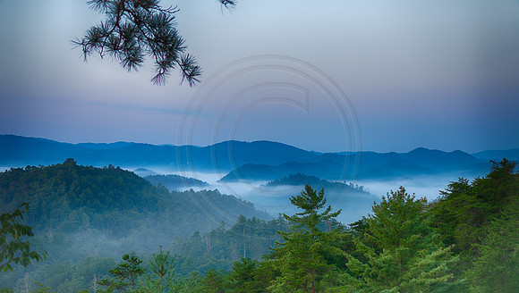 GSMNP
